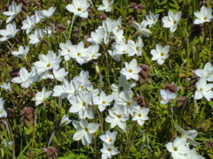 PO20100327_0042