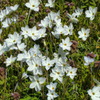 PO20100327_0042