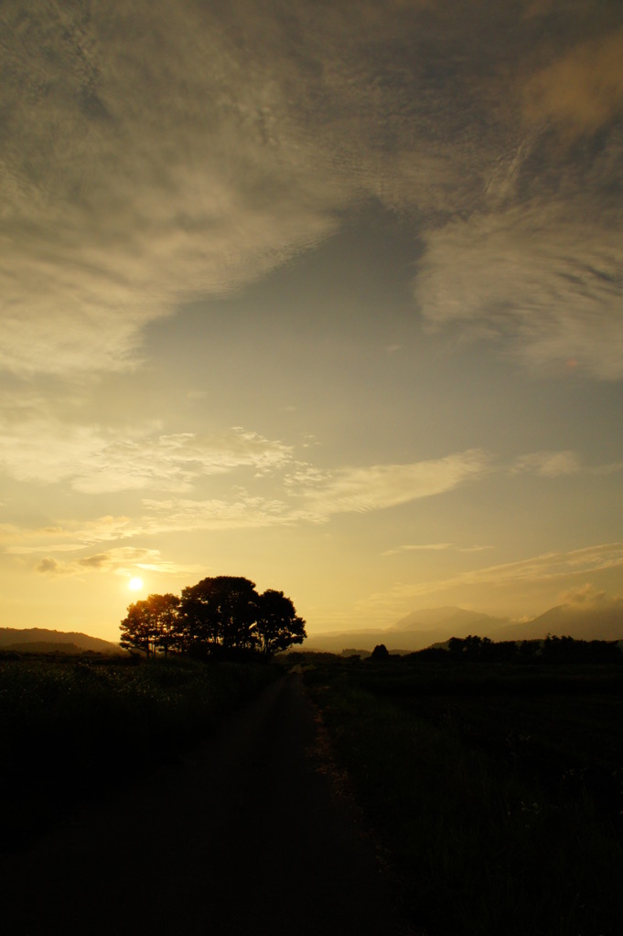 golden　sunset1