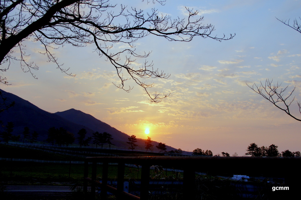 高原の朝