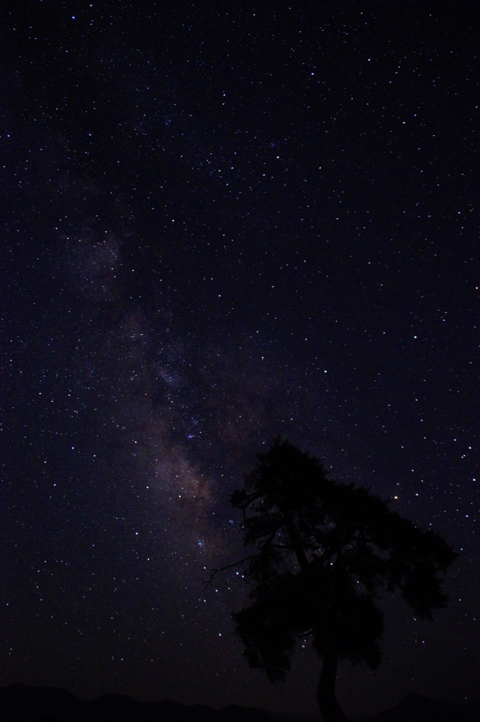 星影の小径
