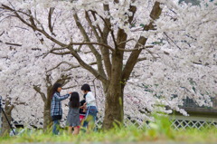 髪飾り