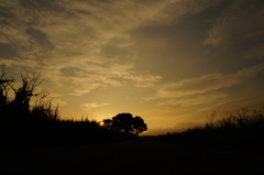 golden　sunset2