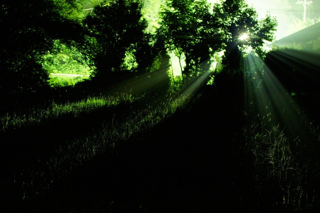 greeeeeeeen
