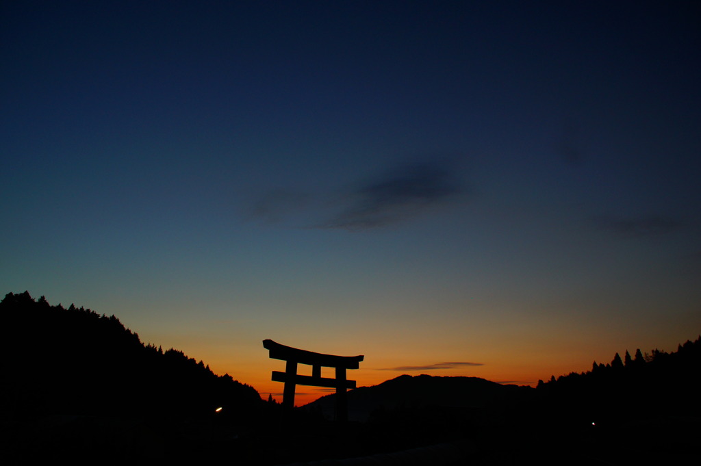 朝の大鳥居