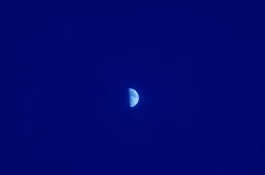 DSC00859