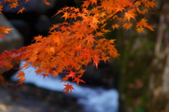岡山豪渓③