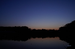 夕日を写す田
