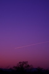 DSC00042