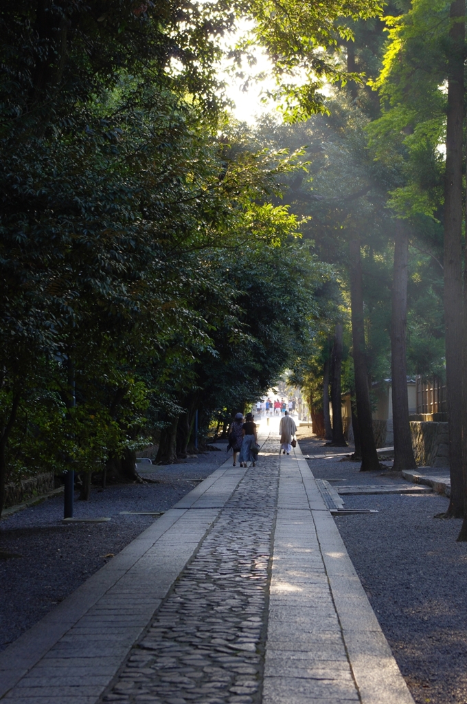 大徳寺