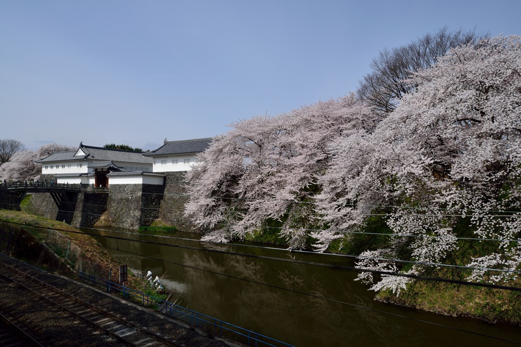 山形市　霞城公園　2014.04.20