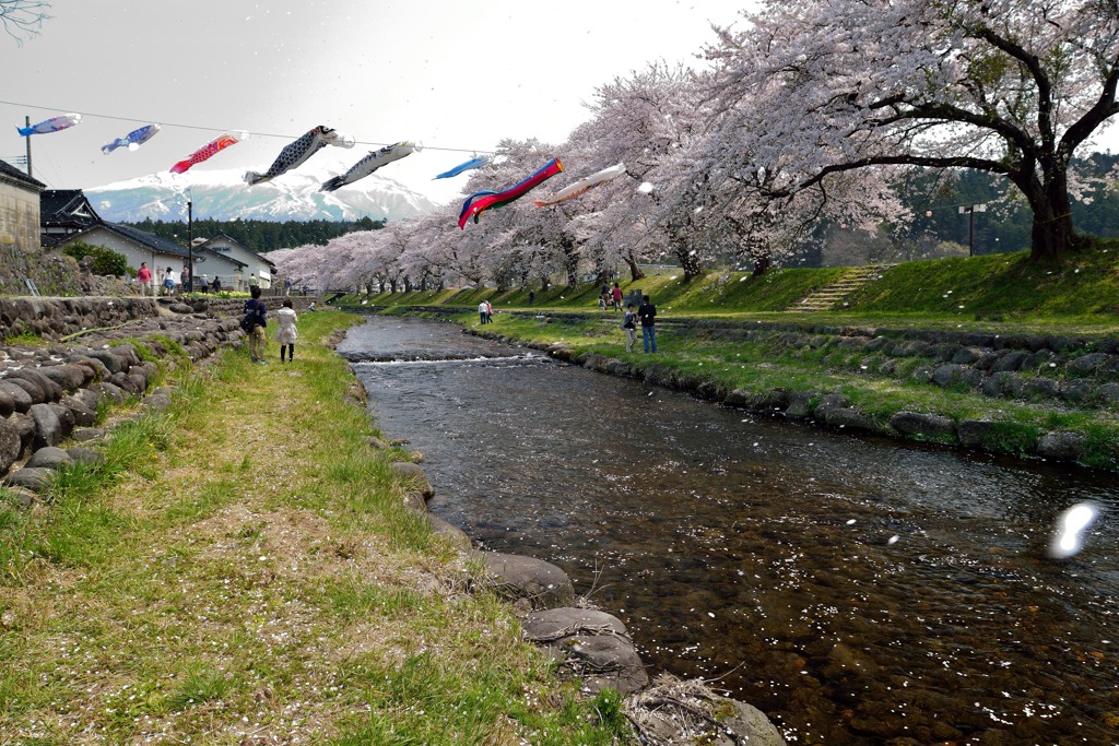 2014.04.27　山形県遊佐町　「中山河川公園」