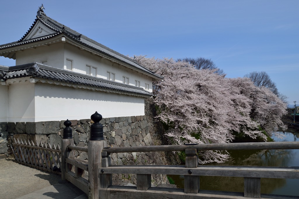 山形市　霞城公園　2014.04.20