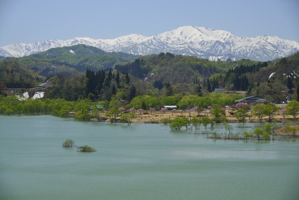 2015.05.05　「新緑の白川湖」