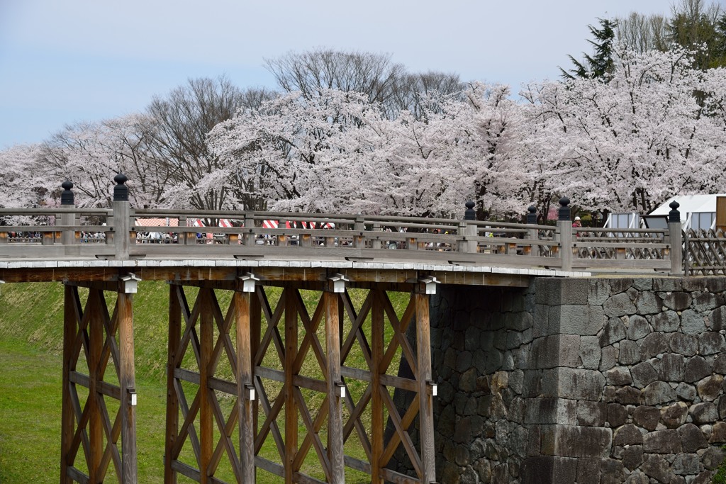 山形市　霞城公園　2014.04.20