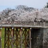 山形市　霞城公園　2014.04.20