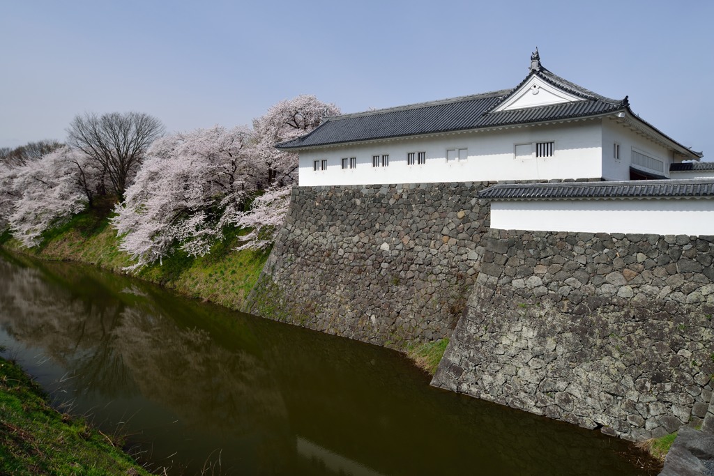 山形市　霞城公園　2014.04.20