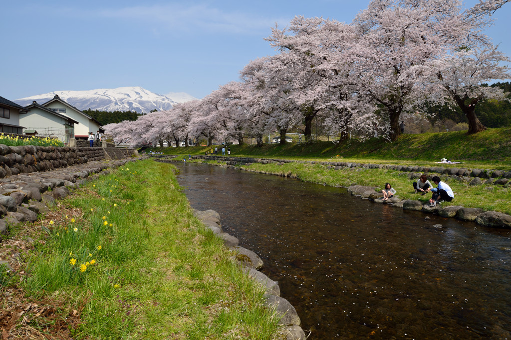 2014.04.27　山形県遊佐町「中山河川公園」