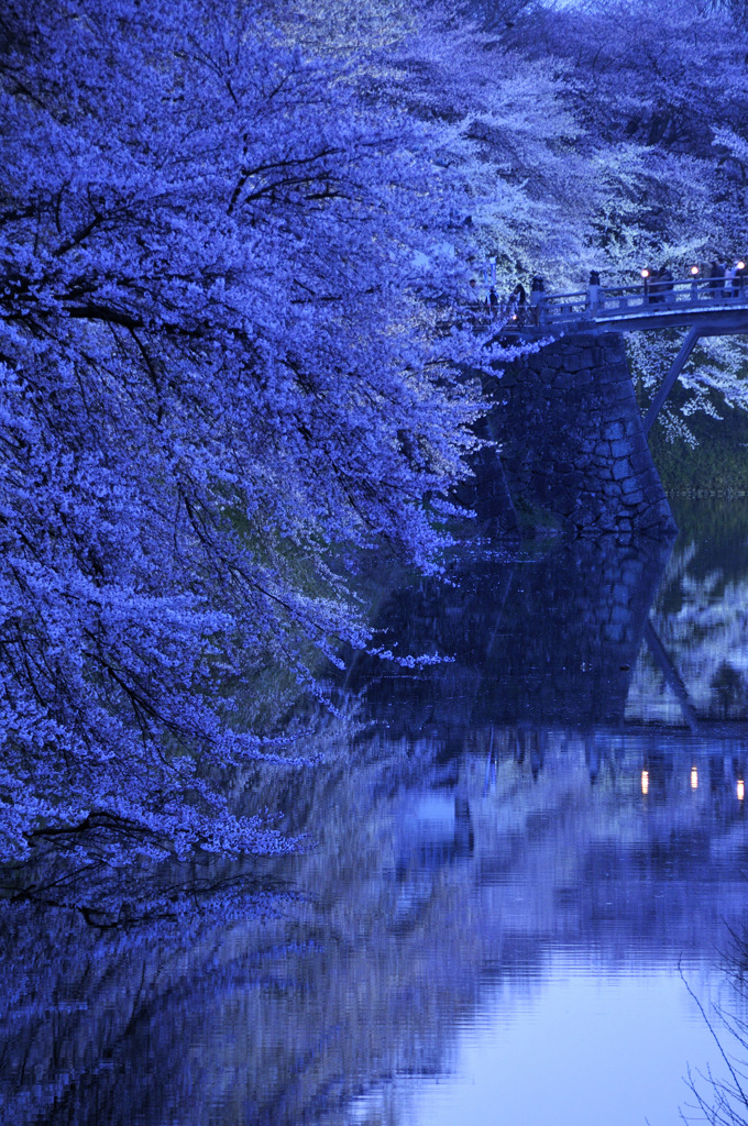 霞ヶ城・薄暮