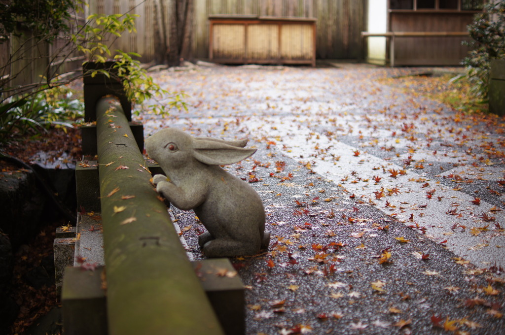 来年は僕の歳