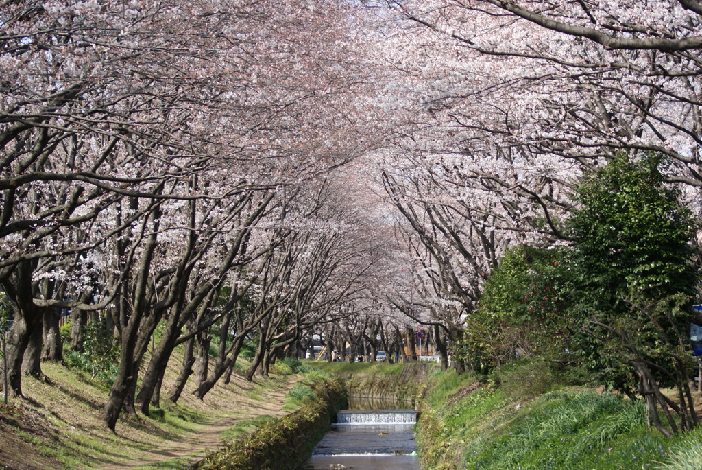 ひと時の静観