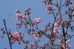 photo482820