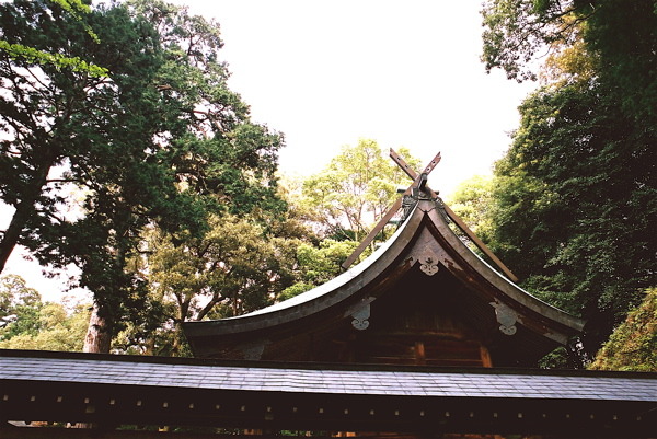 西寒田