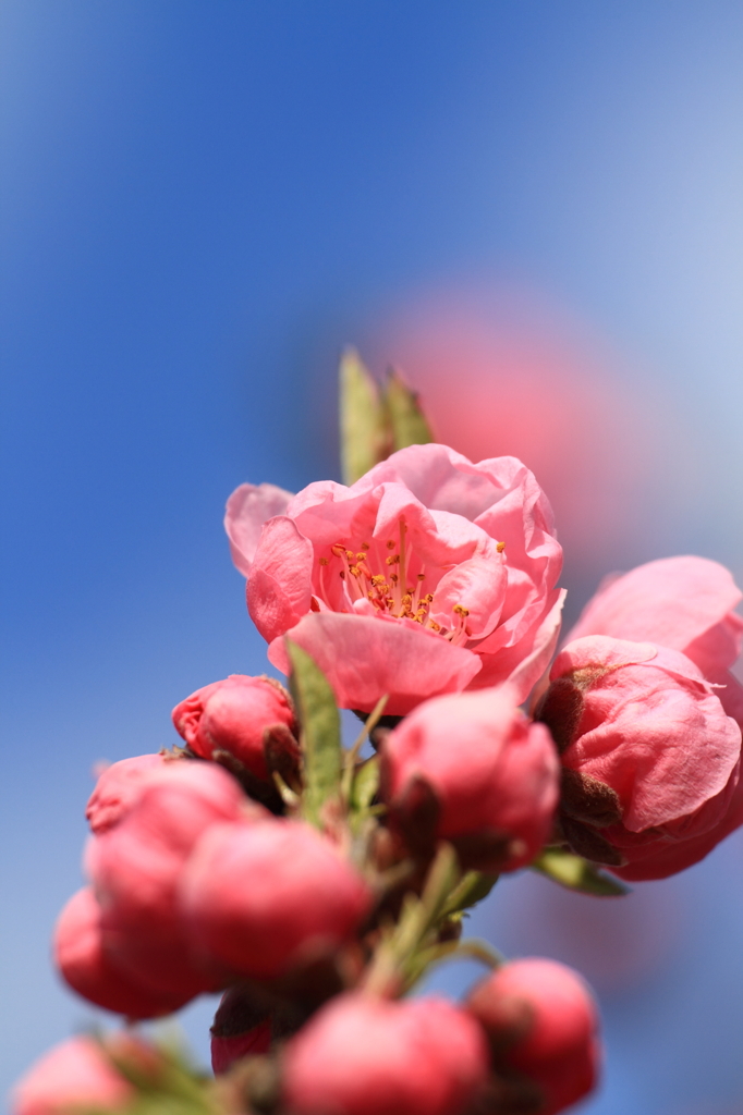 空に向かって