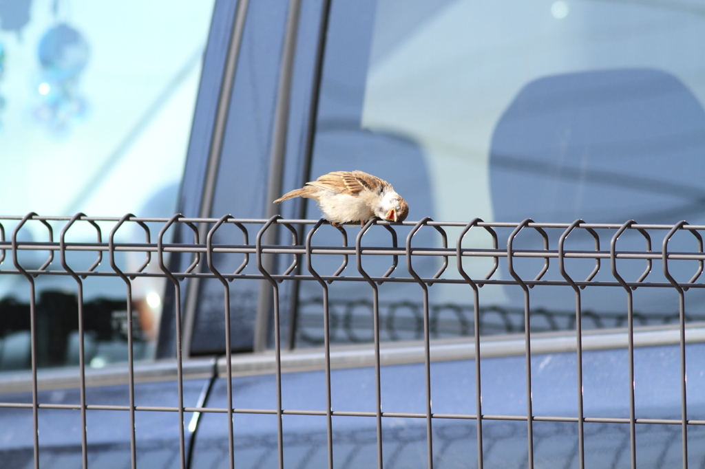 アー気持ちいい