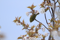 上目づかい