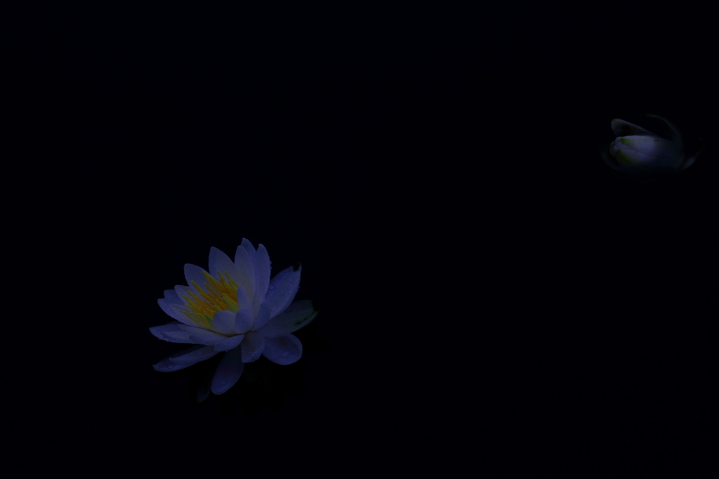 静寂