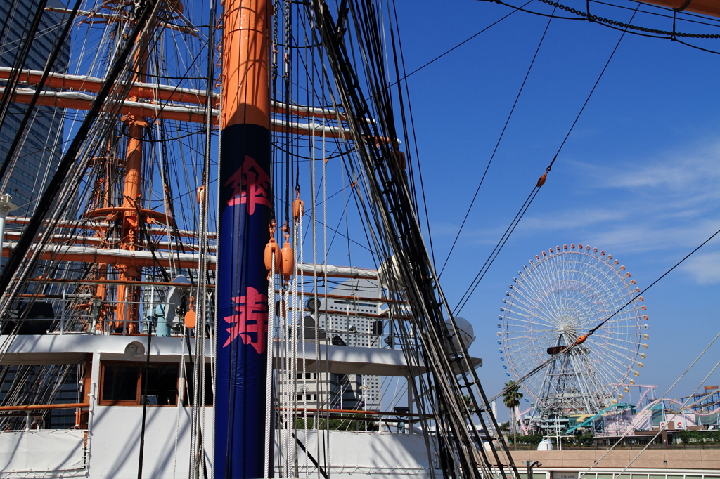 日本丸８０歳