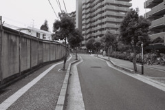 いつもの道
