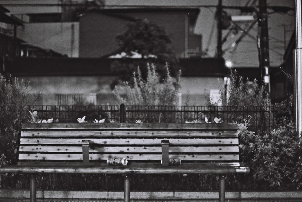 ベンチ