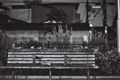 ベンチ