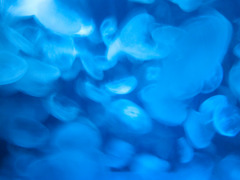 水族館