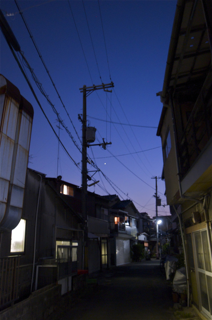 路地裏のヴィーナス