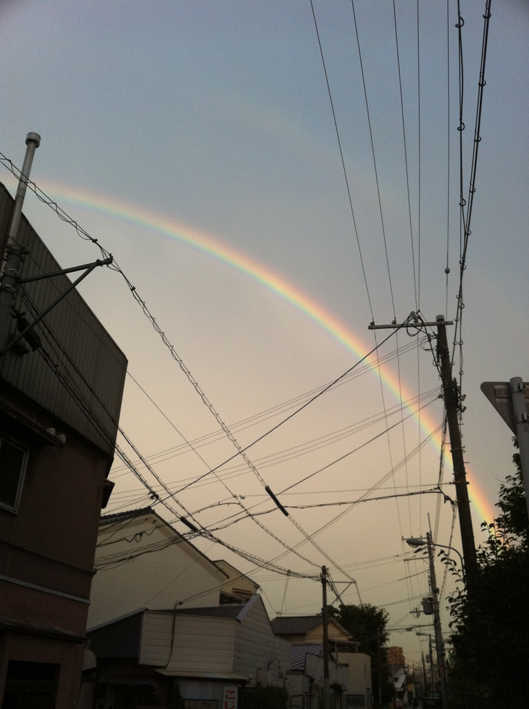 虹
