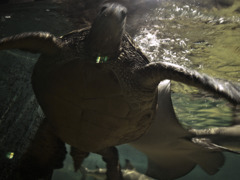 水族館