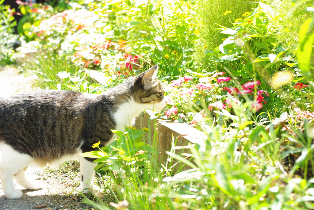 2009_0826画像0158