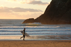 Surfer