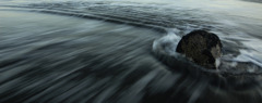 Wave