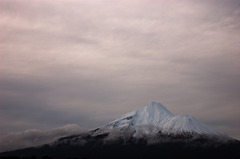 Grey Day