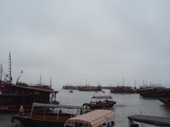 P3140040