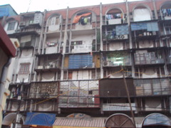 P3130020