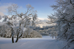 雪景色