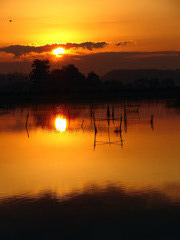 手賀沼の夕日