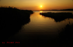 手賀沼の夕日