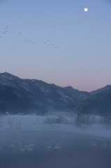 IMG_9291a