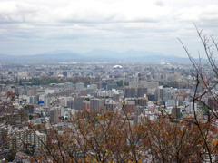 円山山頂より札幌
